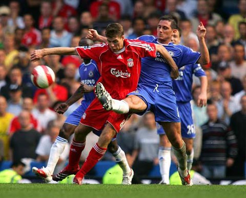 的白鲟等 的白鲟等